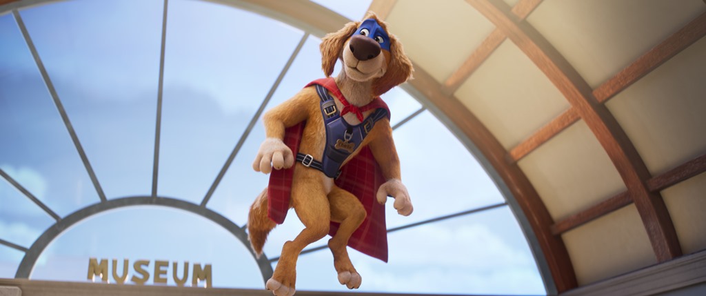 CHARLIE THE WONDERDOG