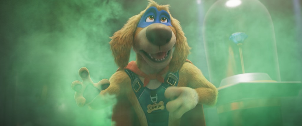 CHARLIE THE WONDERDOG