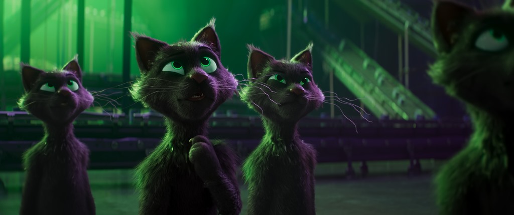 CHARLIE THE WONDERDOG