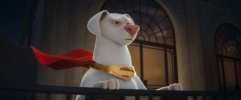 DC LEAGUE OF SUPER-PETS