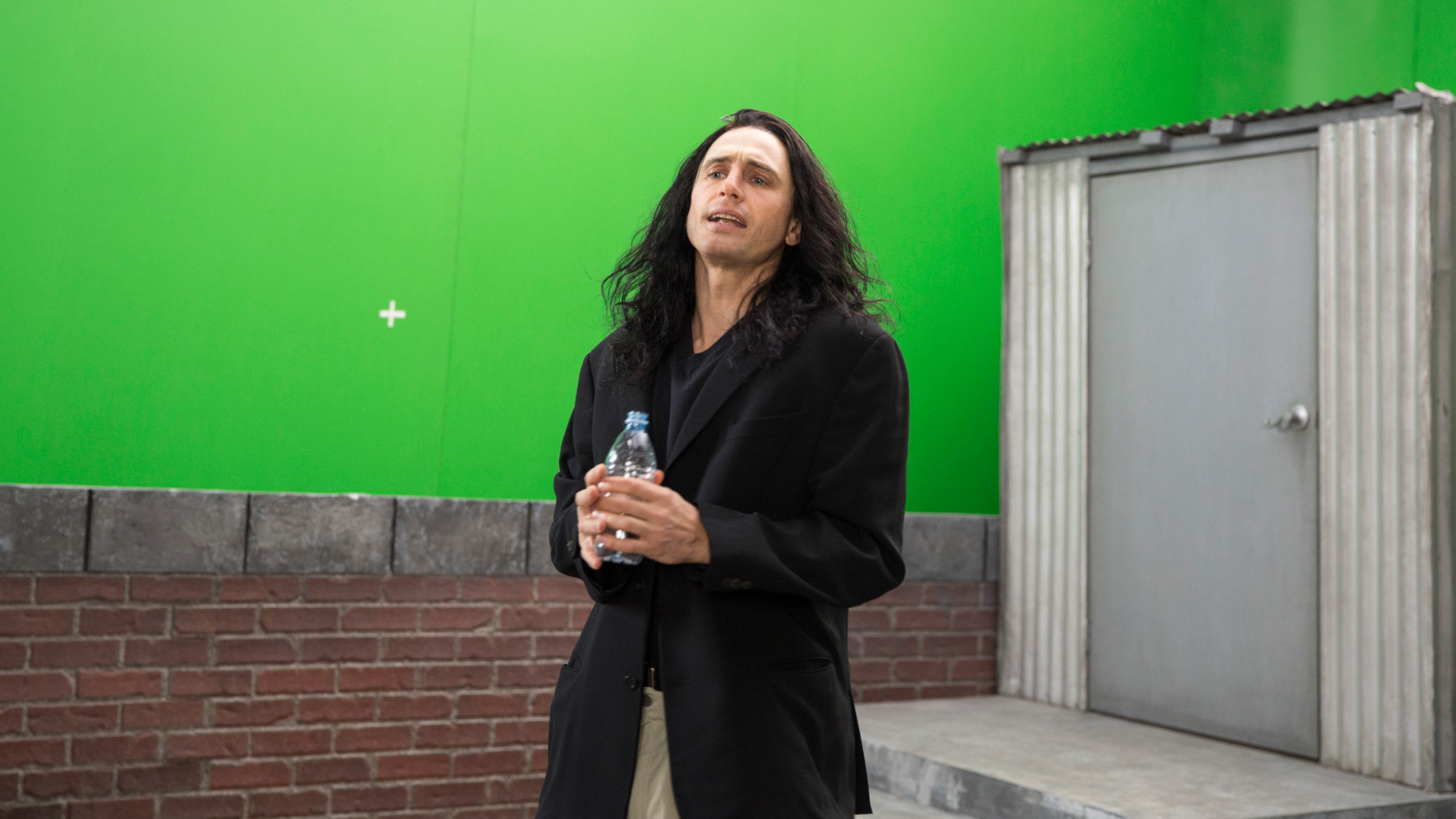 THE DISASTER ARTIST
