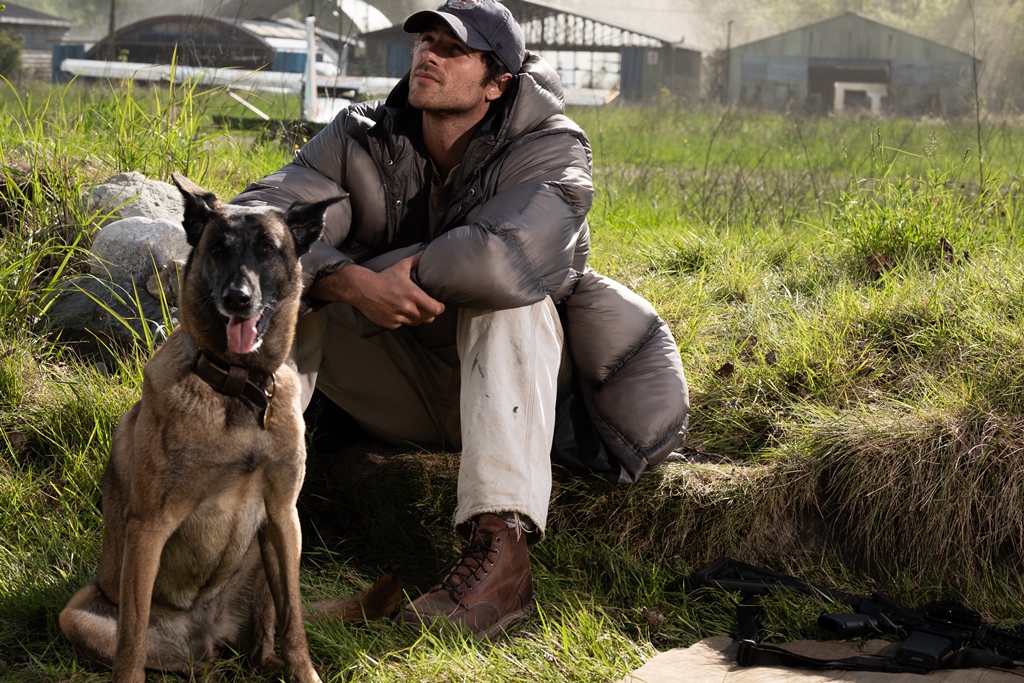 THE DOG STARS