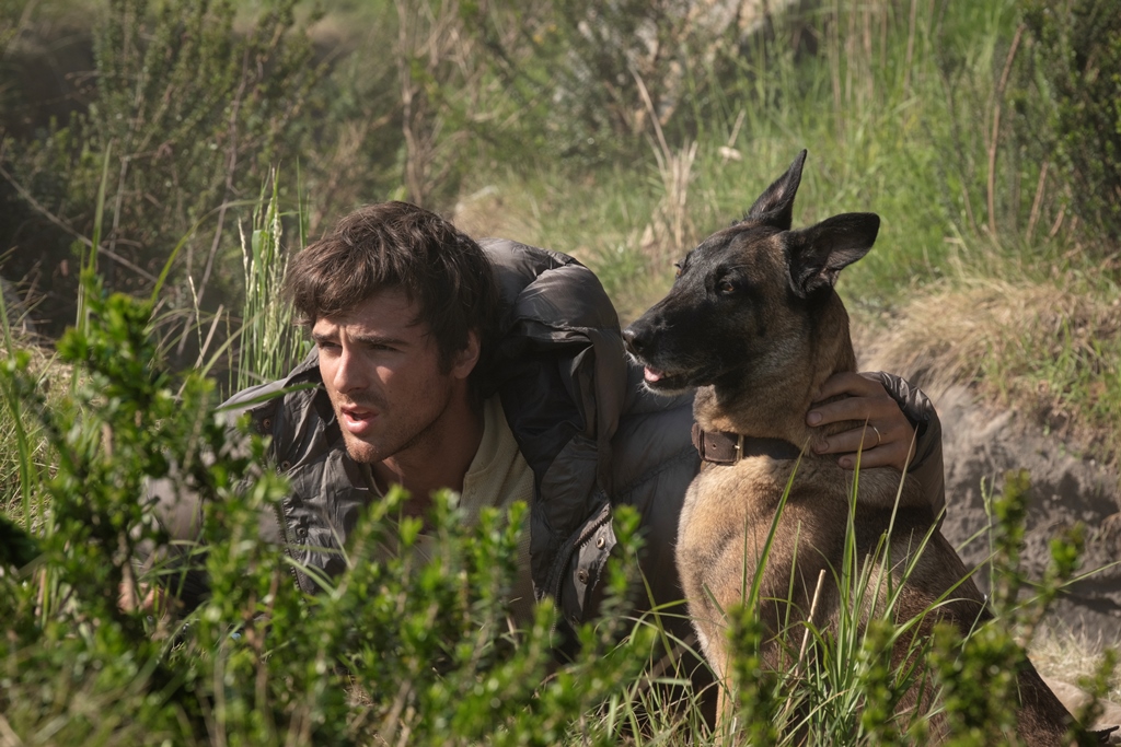 THE DOG STARS
