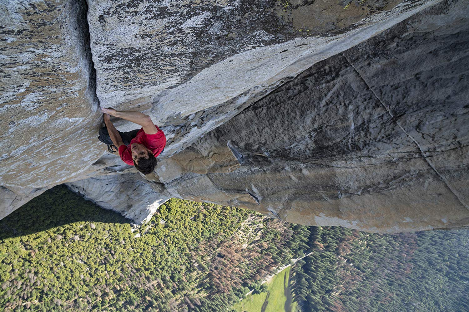 FREE SOLO