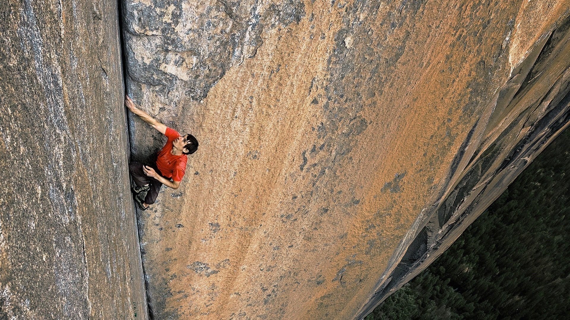 FREE SOLO