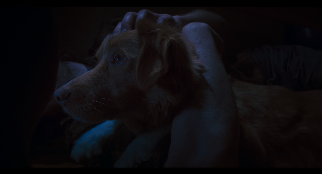 GOOD BOY