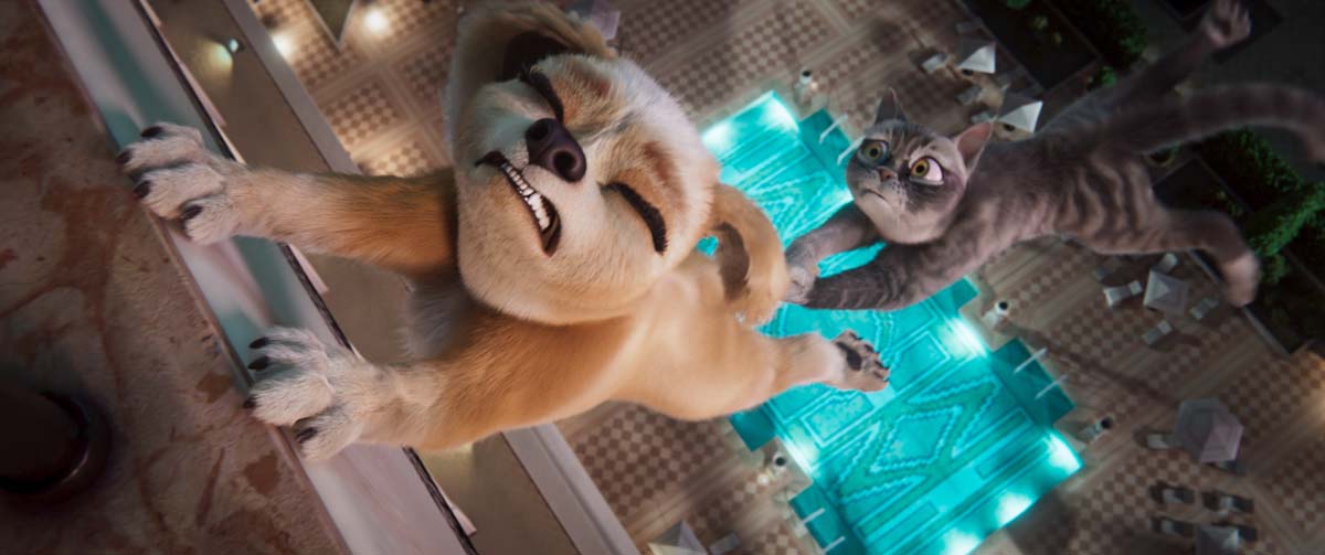 GRACIE & PEDRO: PETS TO THE RESCUE!