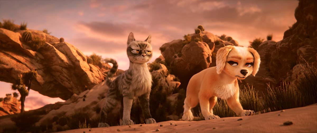 GRACIE & PEDRO: PETS TO THE RESCUE!