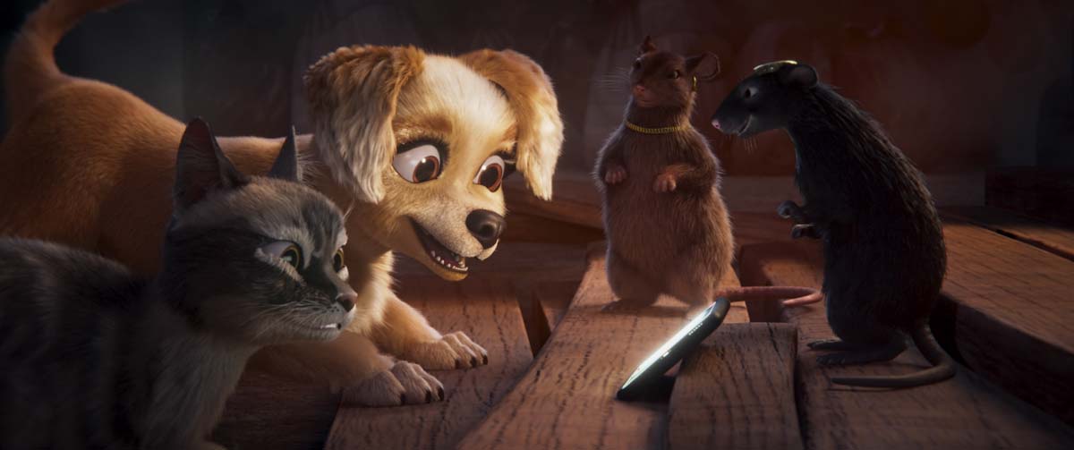 GRACIE & PEDRO: PETS TO THE RESCUE!