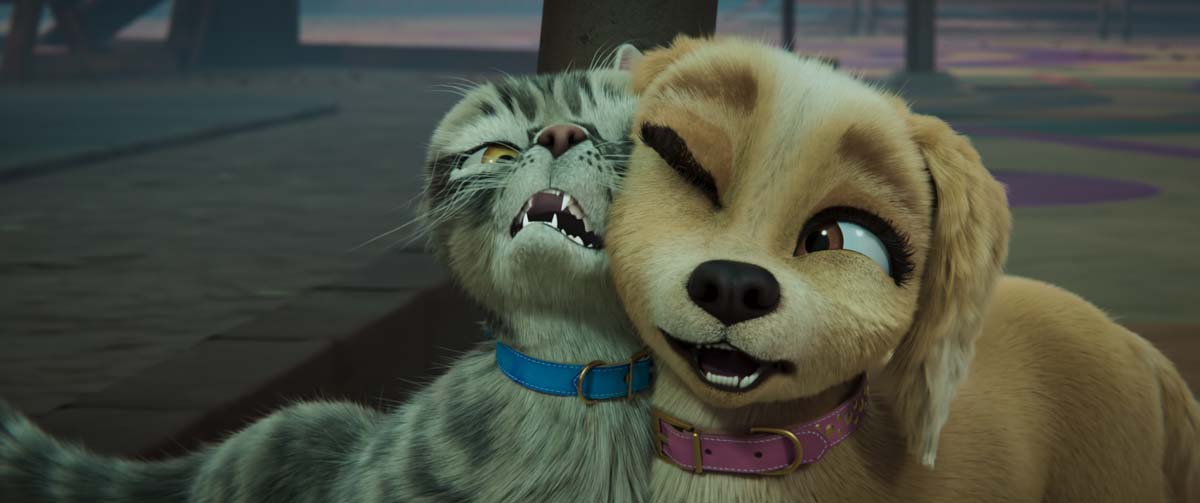 GRACIE & PEDRO: PETS TO THE RESCUE!