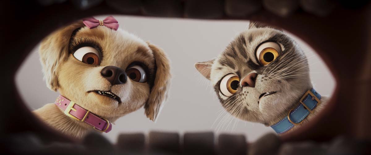 GRACIE & PEDRO: PETS TO THE RESCUE!