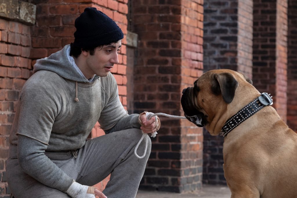 I PLAY ROCKY