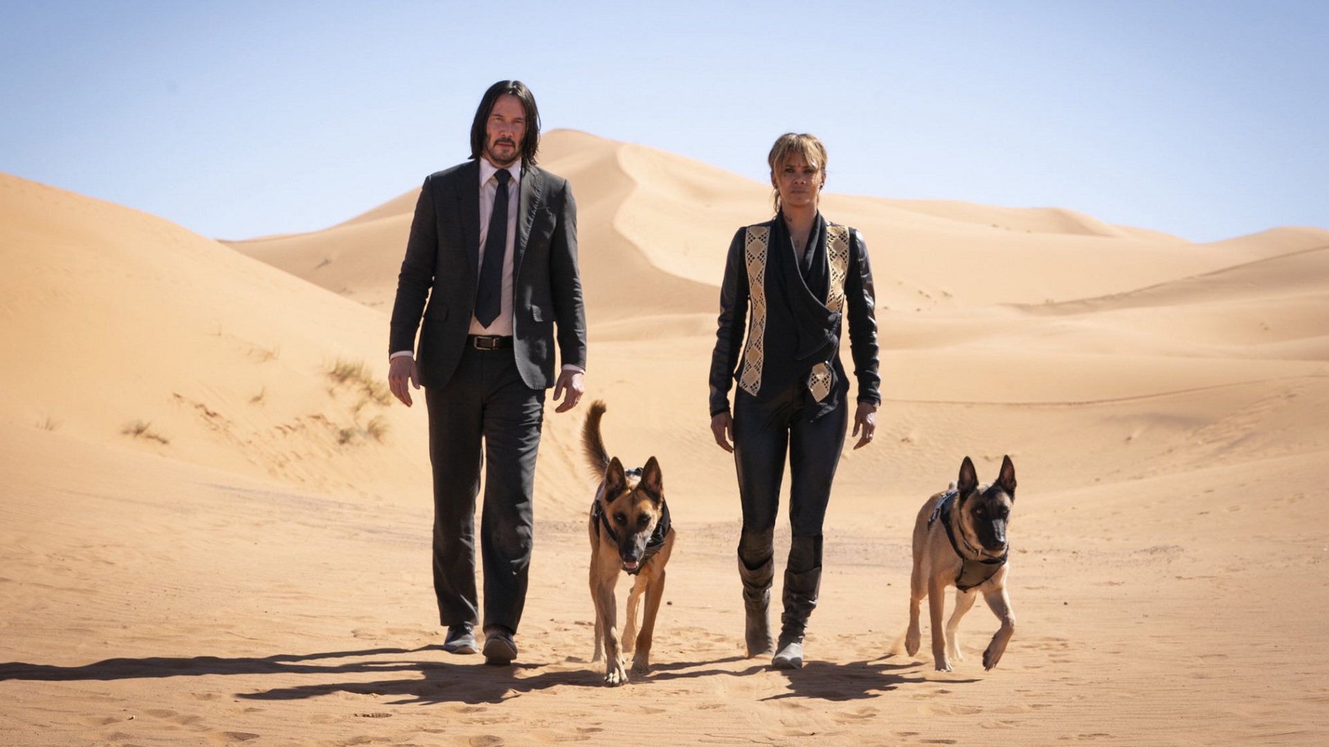 JOHN WICK: CHAPTER 3: PARABELLUM