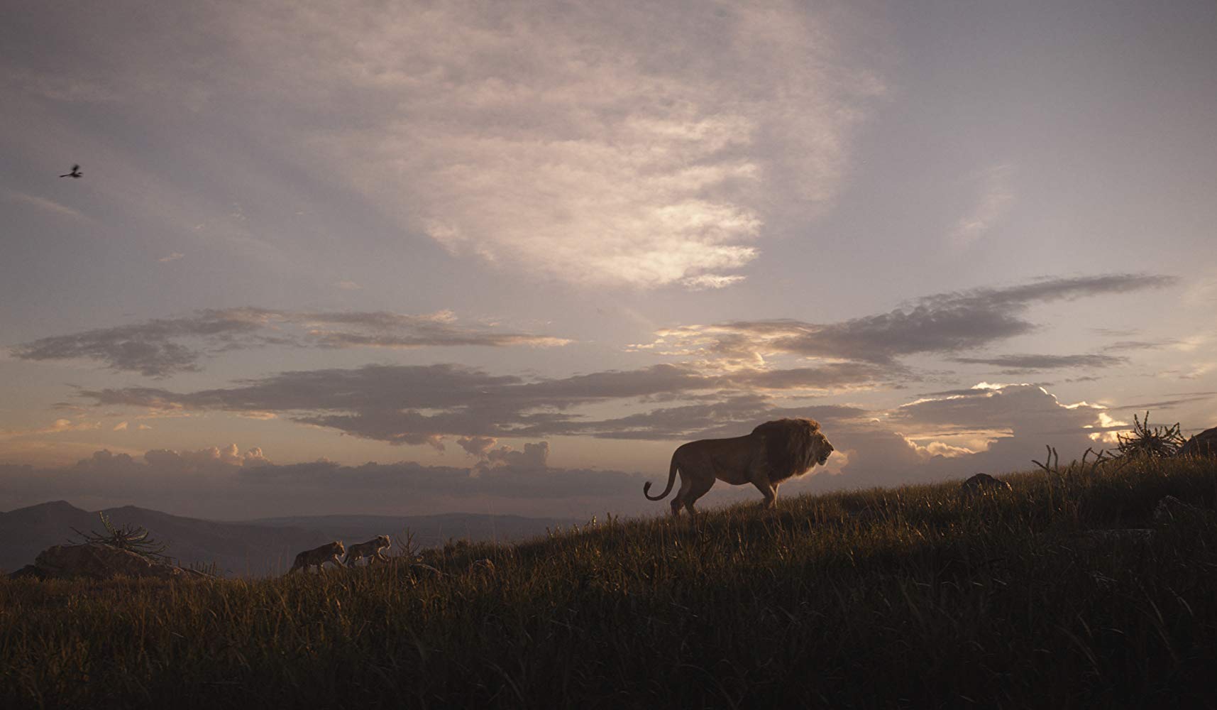 THE LION KING