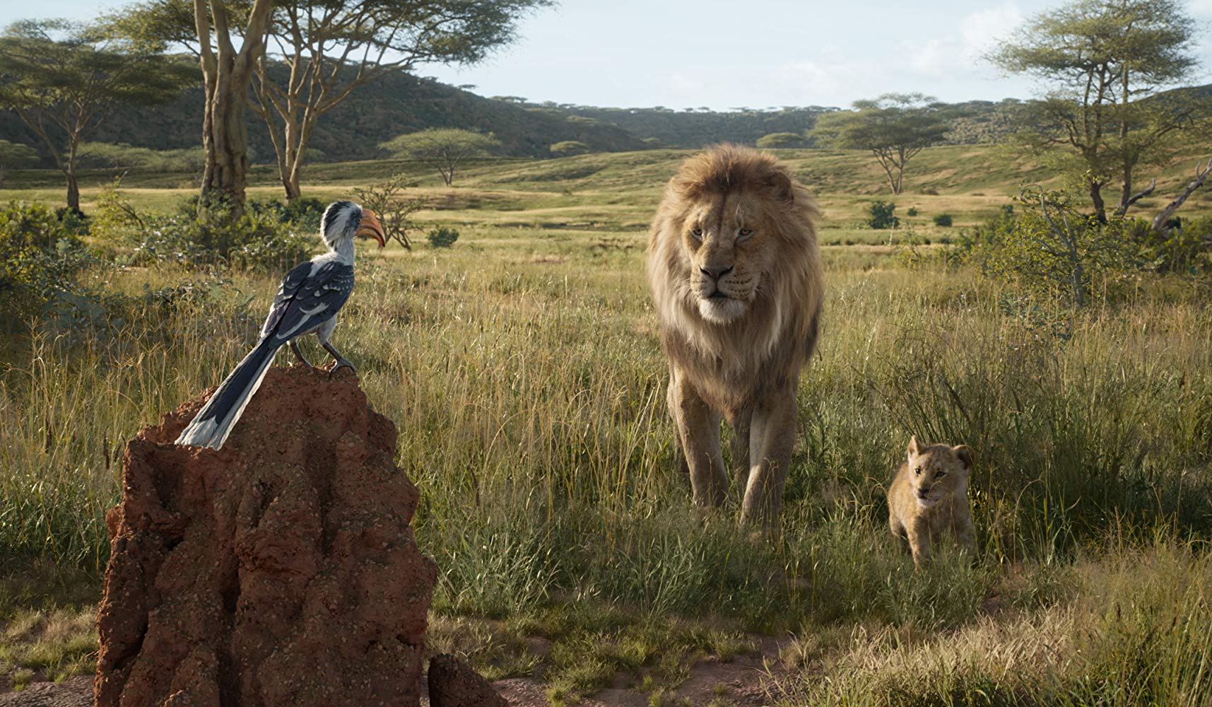 THE LION KING