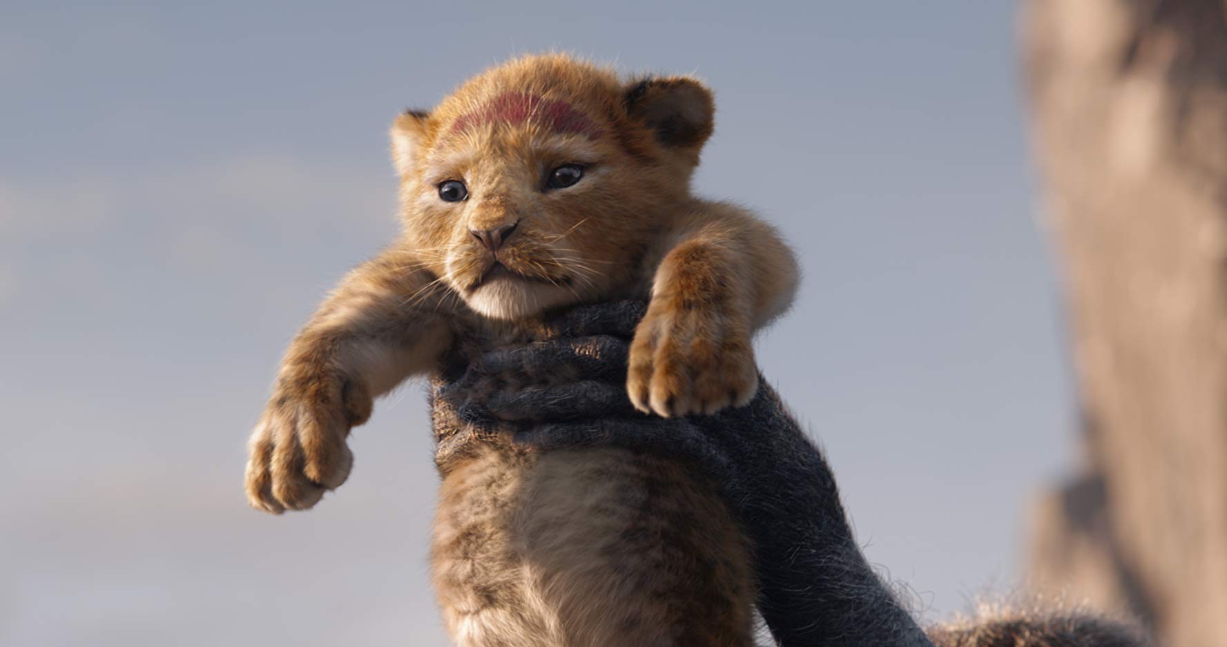 THE LION KING