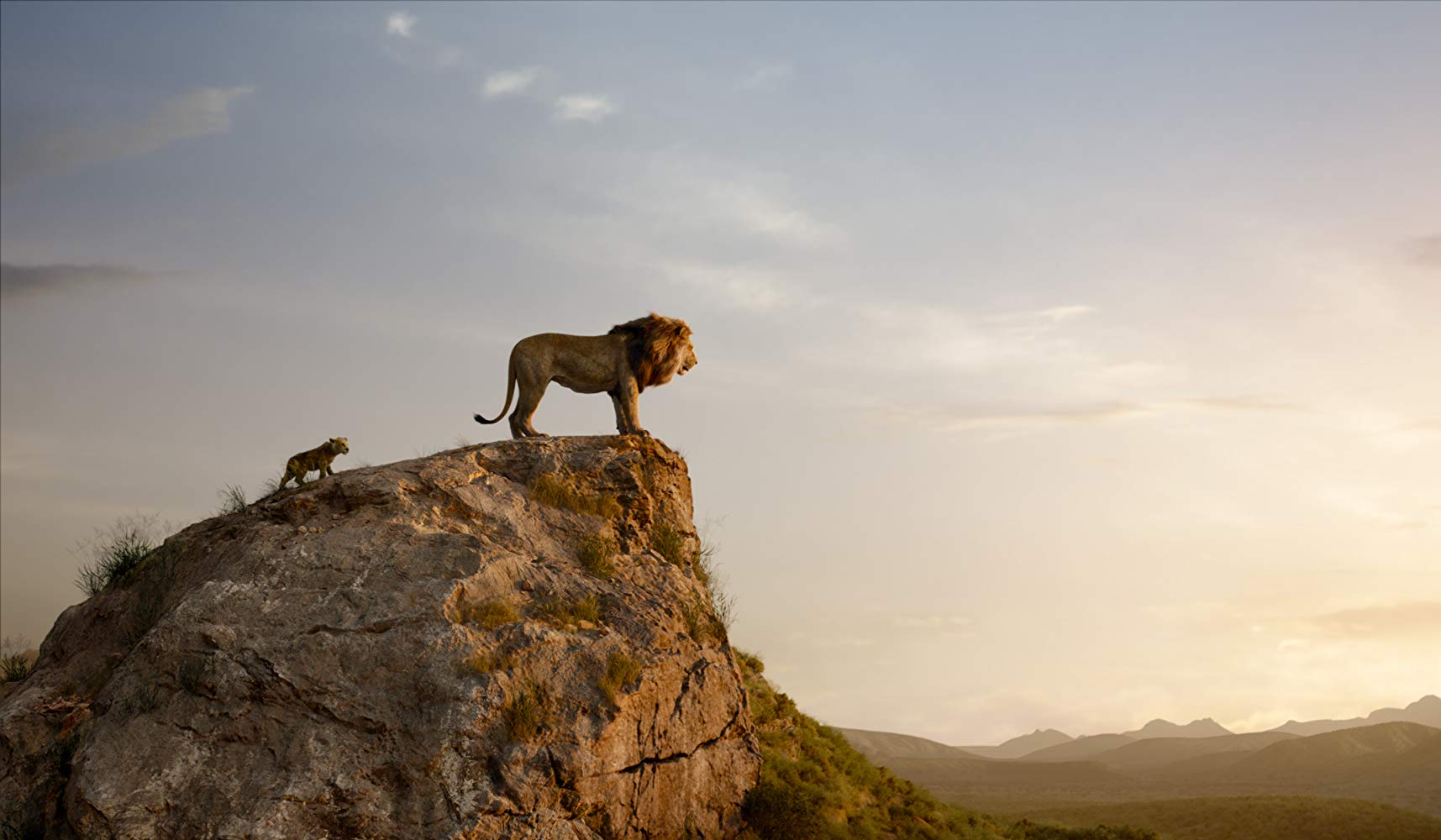THE LION KING