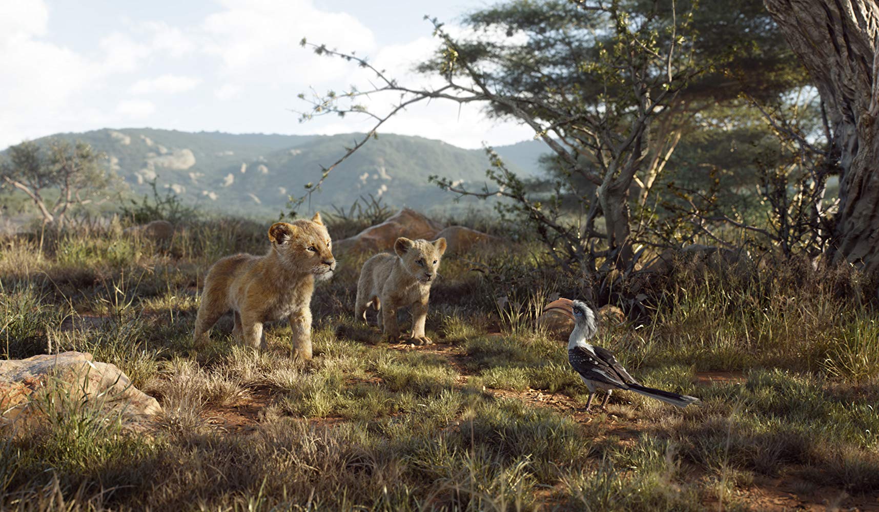 THE LION KING