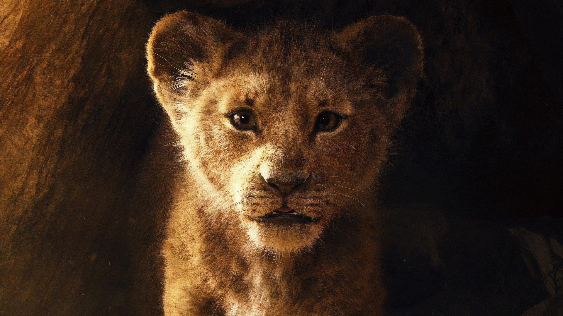 THE LION KING