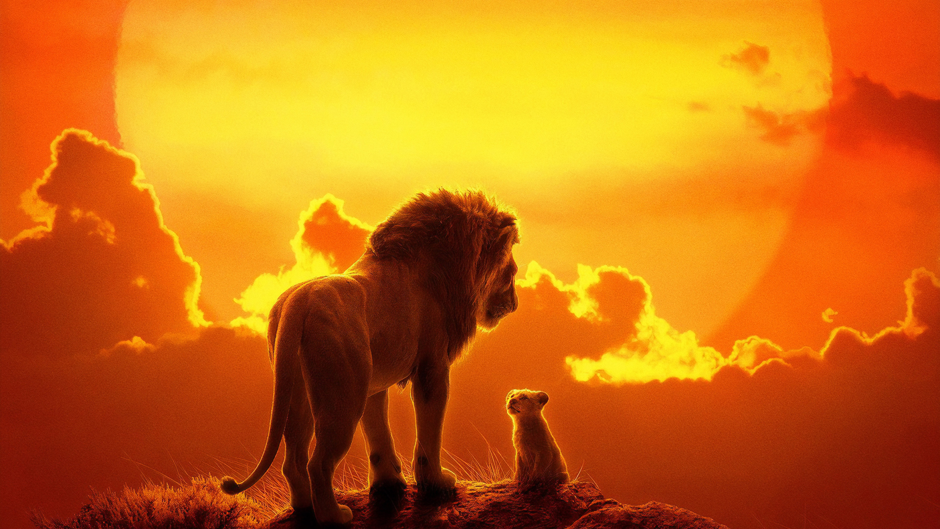 THE LION KING