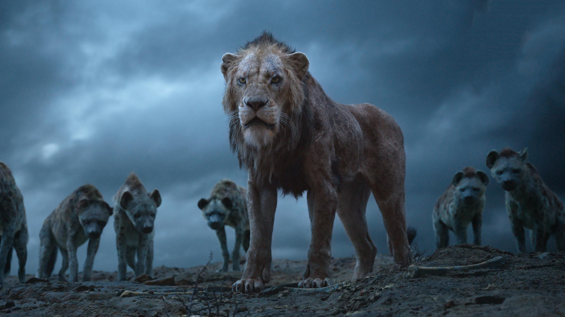 THE LION KING