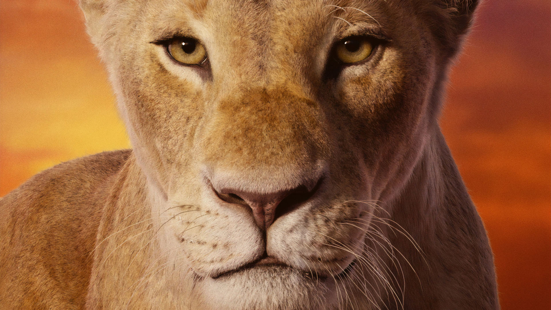 THE LION KING