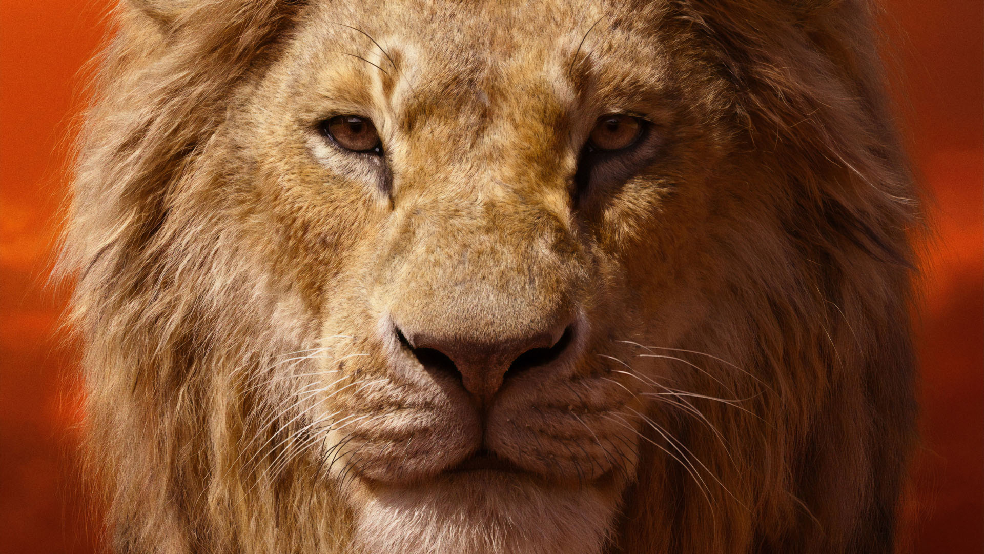 THE LION KING