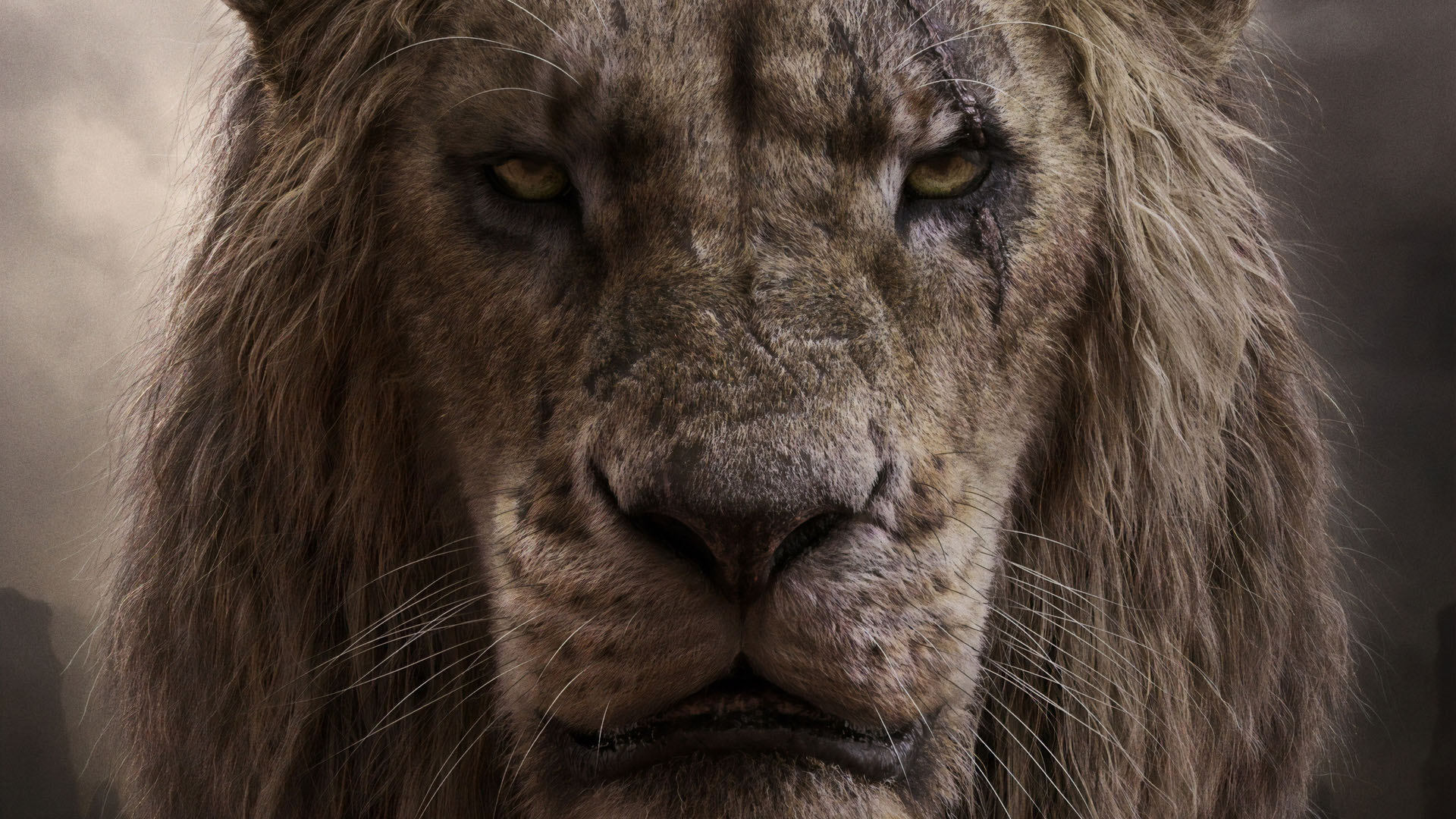 THE LION KING