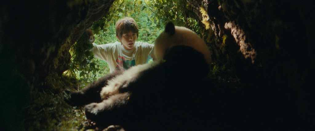 MOON THE PANDA