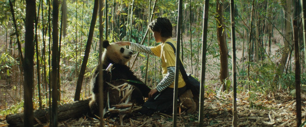 MOON THE PANDA
