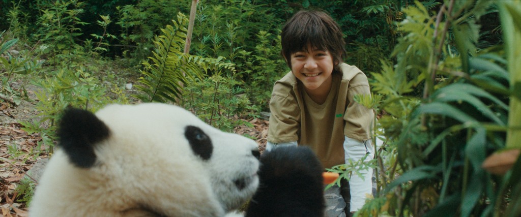 MOON THE PANDA