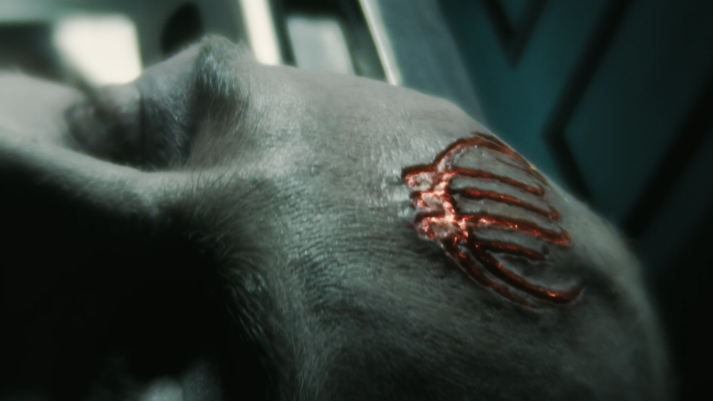 THE MORTUARY ASSISTANT