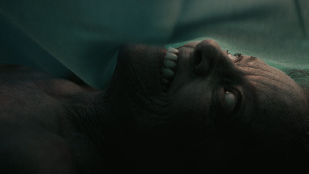 THE MORTUARY ASSISTANT