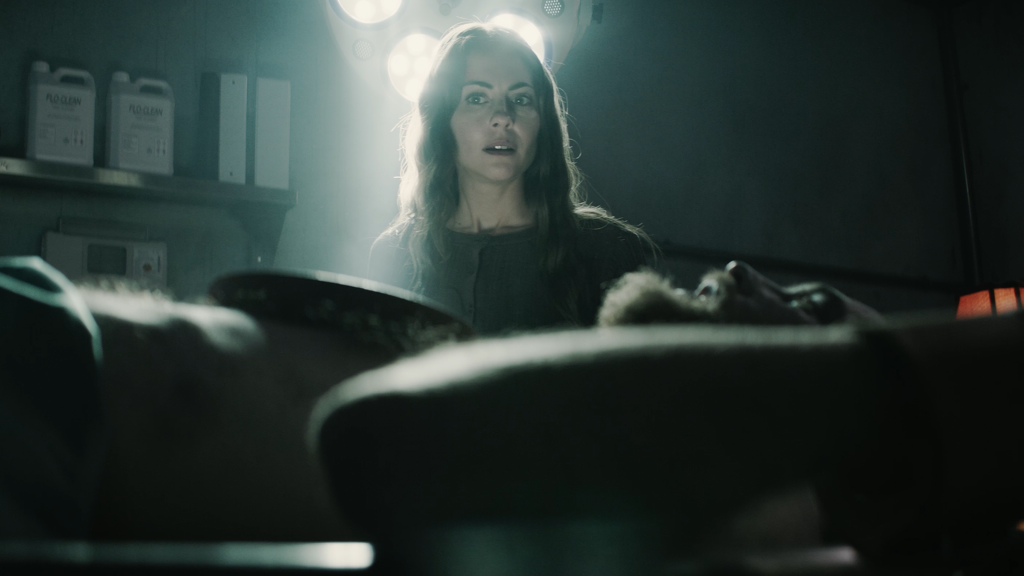 THE MORTUARY ASSISTANT