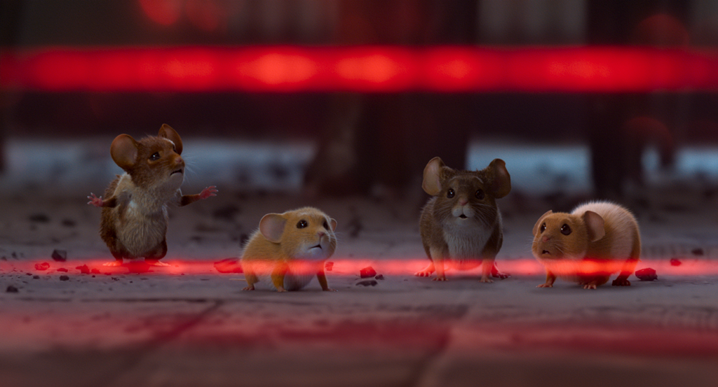 A MOUSE HUNT FOR CHRISTMAS