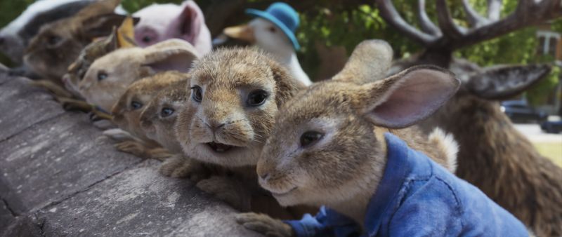 PETER RABBIT 2: THE RUNAWAY