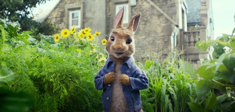 PETER RABBIT