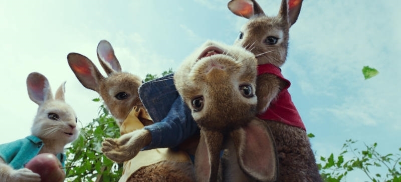 PETER RABBIT