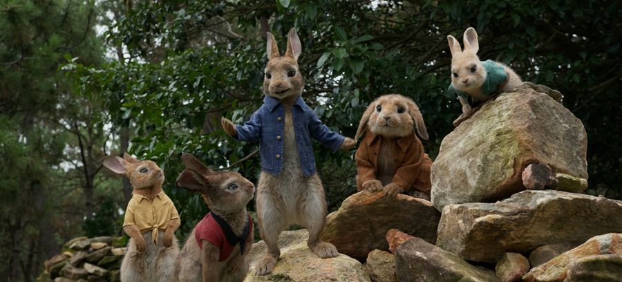 PETER RABBIT