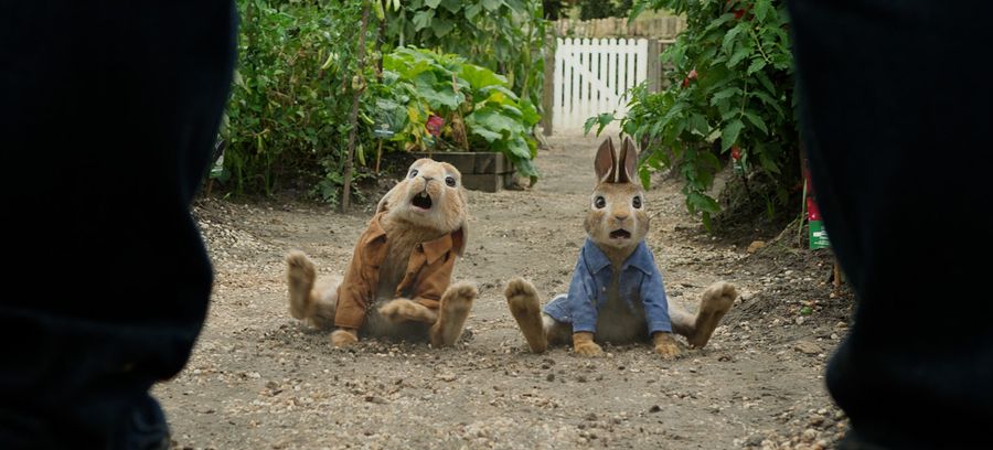 PETER RABBIT