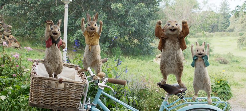 PETER RABBIT