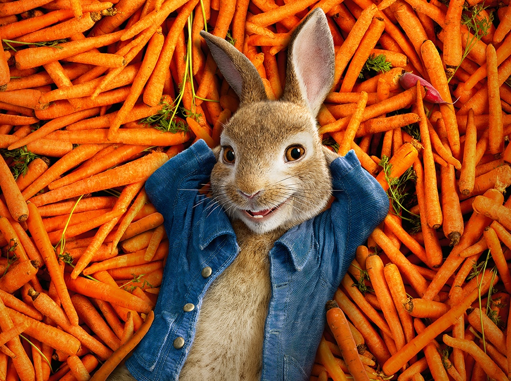PETER RABBIT