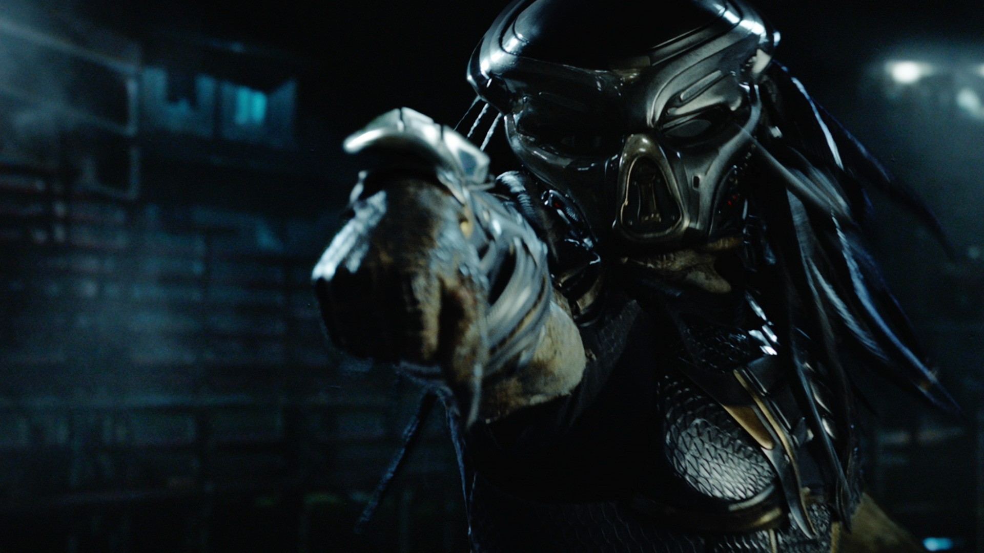 THE PREDATOR