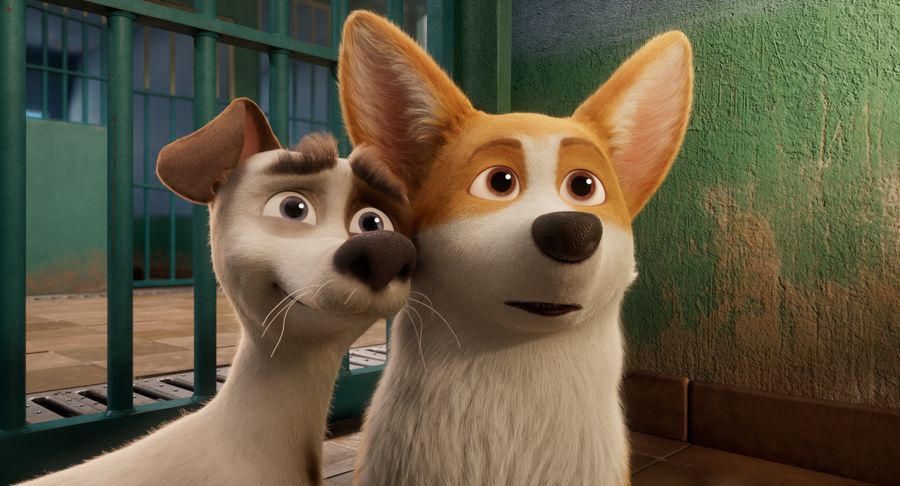 THE QUEEN'S CORGI