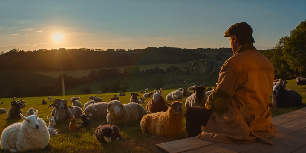 THE SHEEP DETECTIVES
