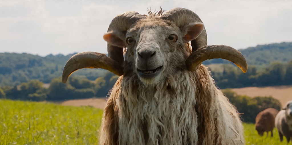 THE SHEEP DETECTIVES
