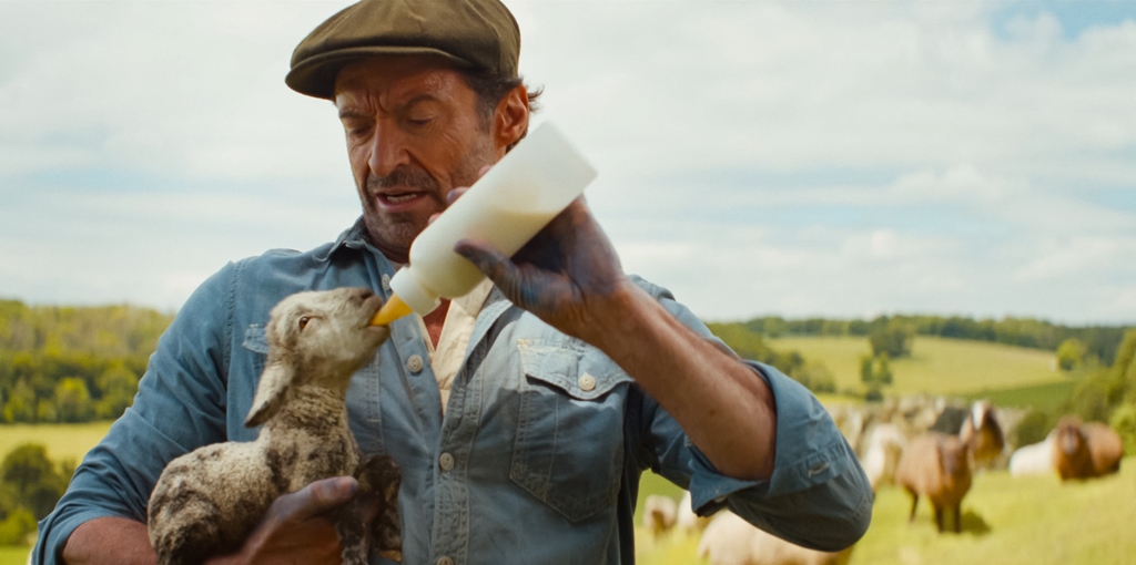 THE SHEEP DETECTIVES