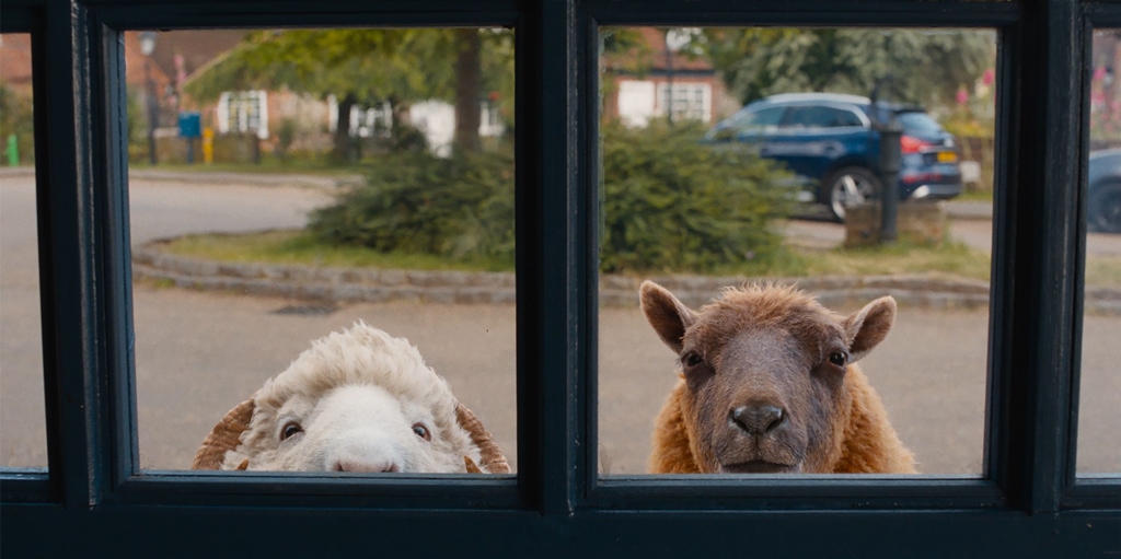 THE SHEEP DETECTIVES
