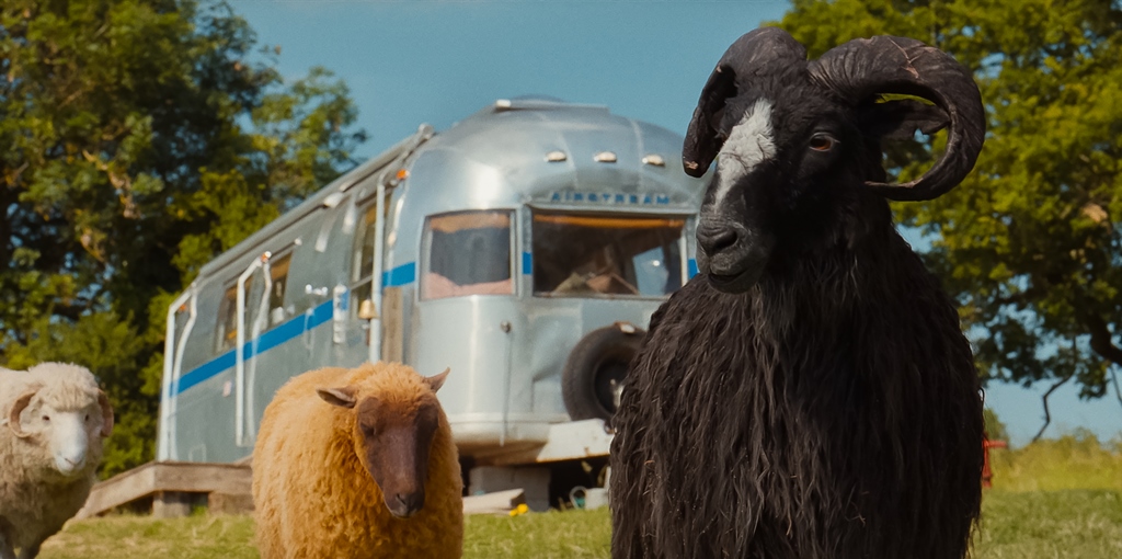 THE SHEEP DETECTIVES
