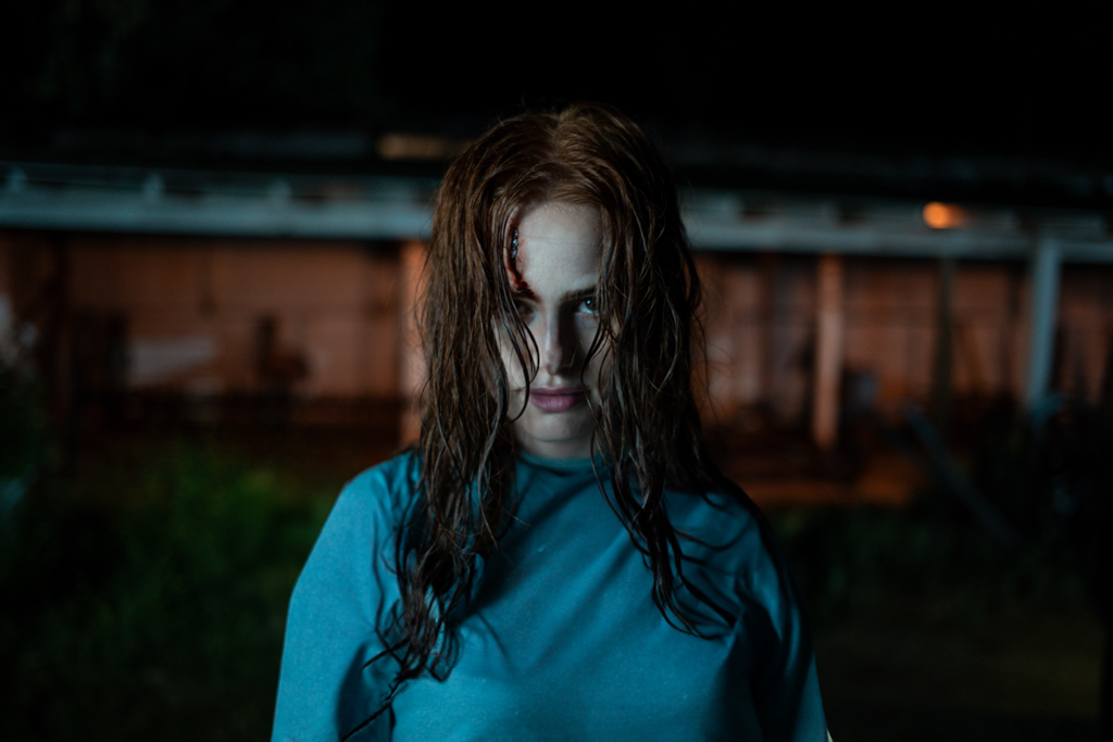 THE STRANGERS: CHAPTER 2